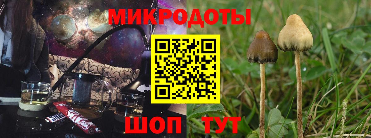 Псилоцибиновые грибы Psilocybe  Псилоцибиновые грибы Cubensis  Вход с VPN  Черняховск 