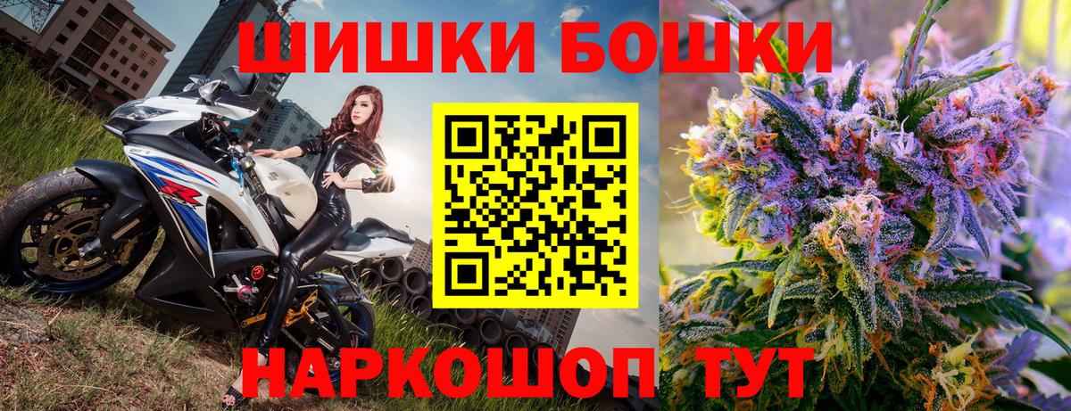 Конопля марихуана Черняховск